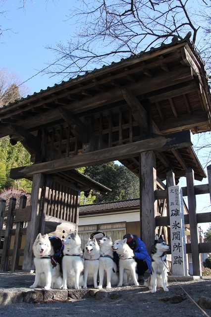 b0207615_23452155.jpg