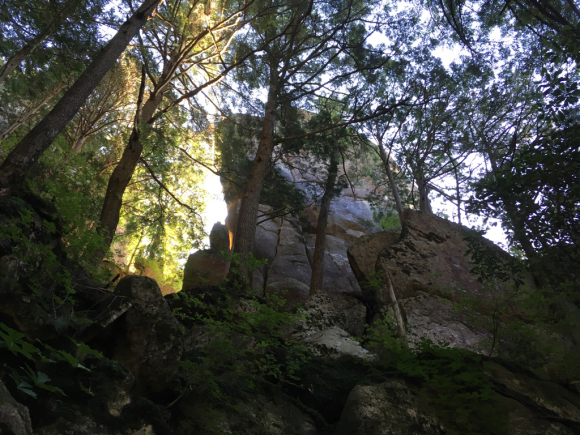 c0210618_07035693.jpg