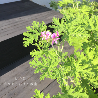 a0341825_11234822.png