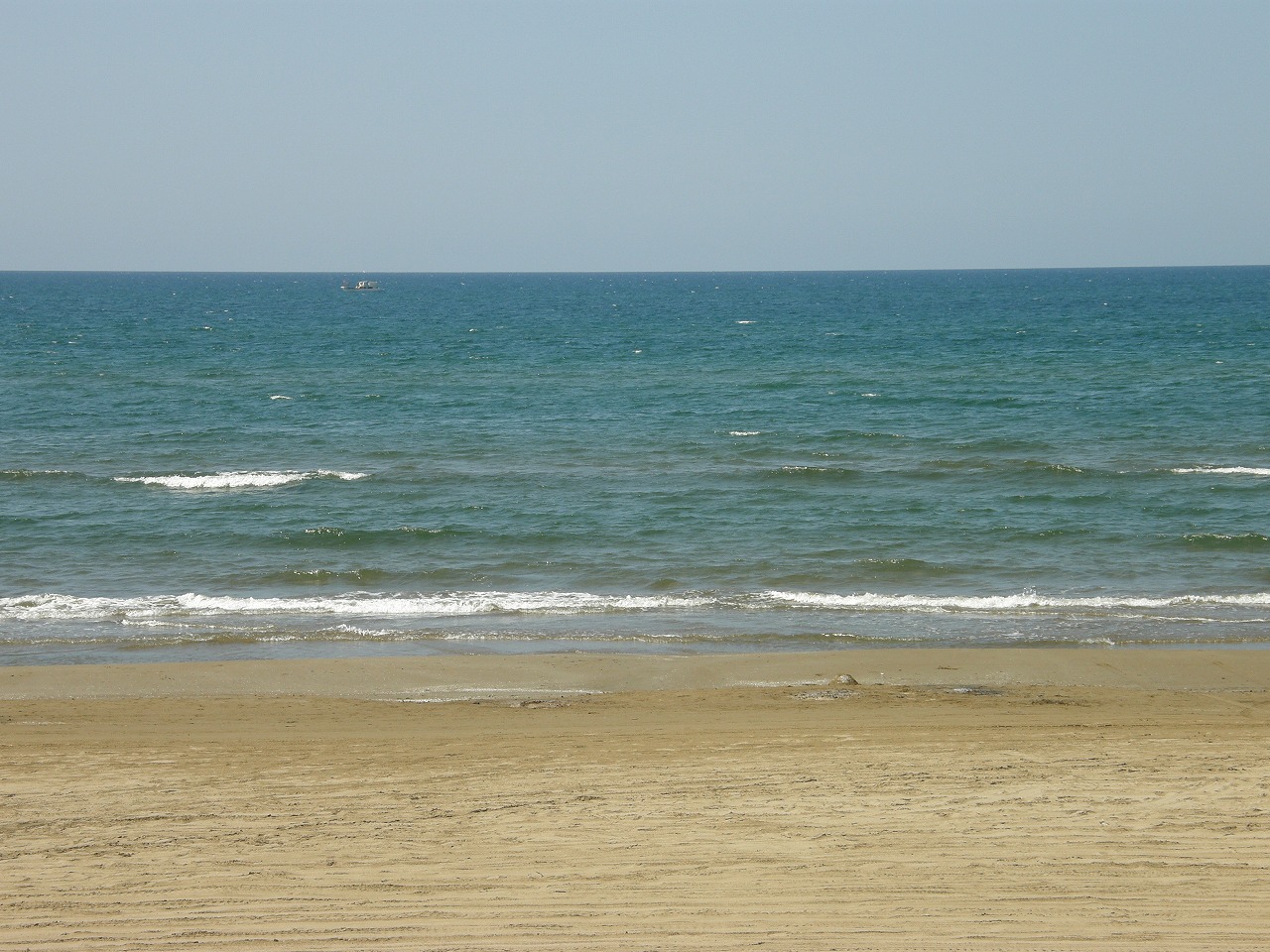 b0162728_1558223.jpg
