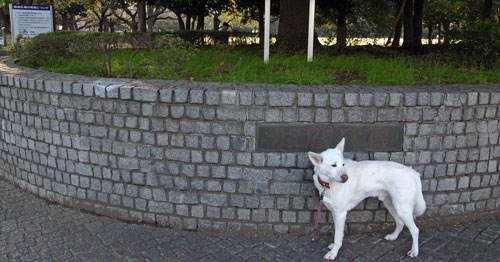a0117039_2237471.jpg