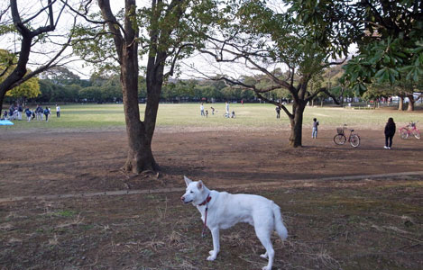 a0117039_2243513.jpg
