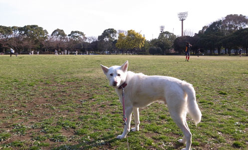 a0117039_224435.jpg