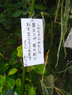 b0325640_8461830.jpg