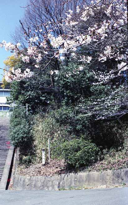 a0100742_8405734.jpg