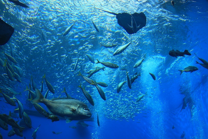 c0145250_10380257.jpg