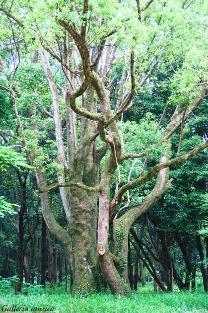 f0351853_02321620.jpg