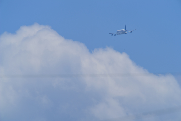 e0216857_1738562.jpg