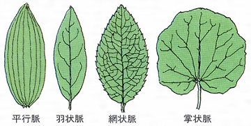 a0237268_1851045.jpg