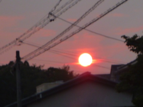 e0161972_8422797.jpg