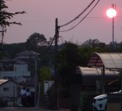 e0161972_8483040.jpg