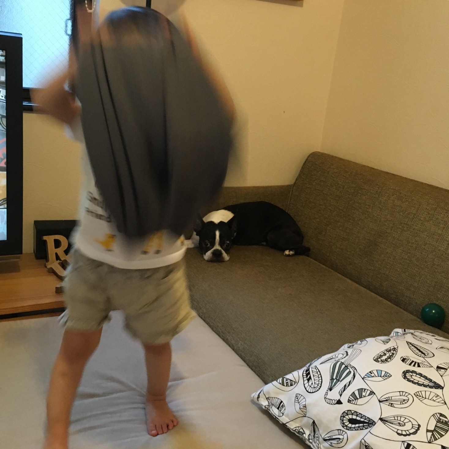 d0041575_20494557.jpeg