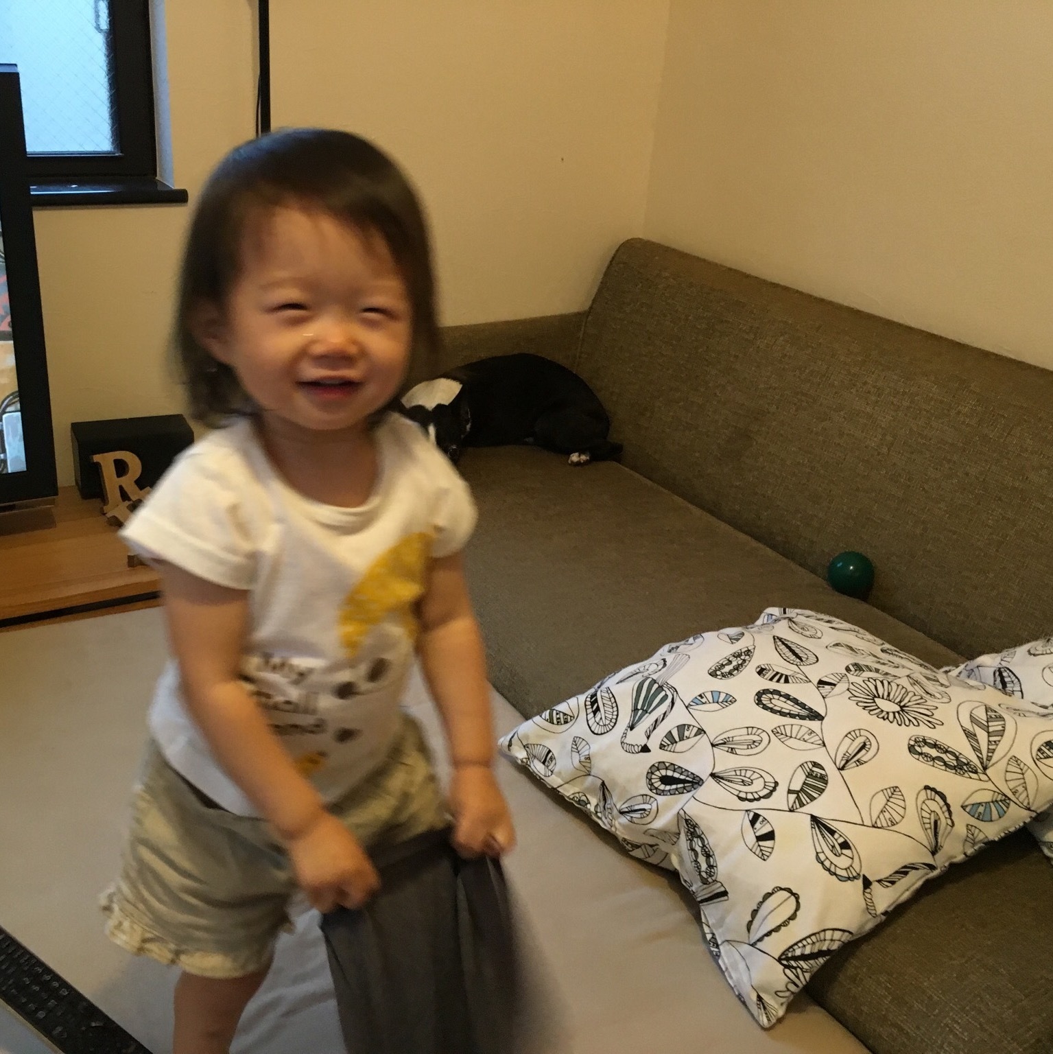 d0041575_20525761.jpeg