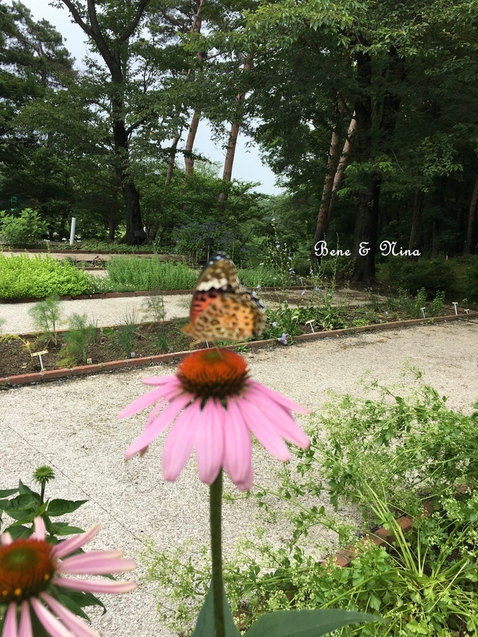 c0283778_1634516.jpg