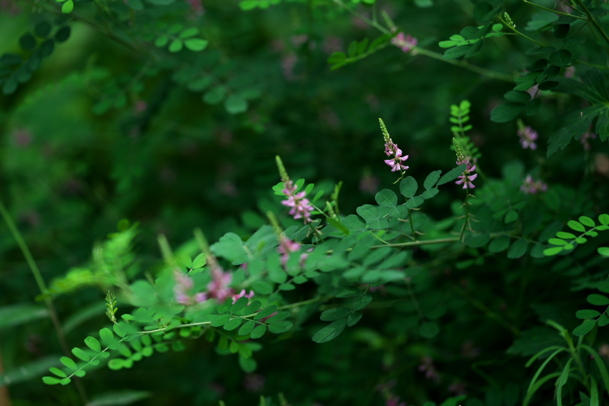 a0083081_11513845.jpg