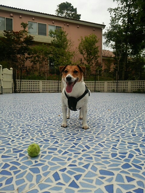 c0214384_05490387.jpg