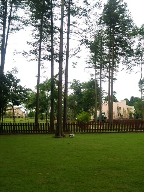 c0214384_05491895.jpg