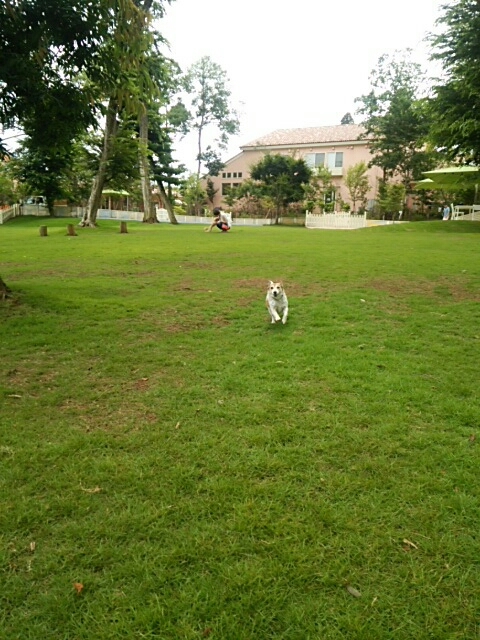 c0214384_05492363.jpg