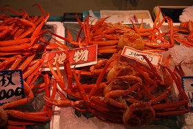f0226293_9141822.jpg