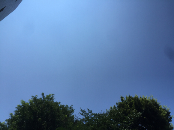 d0135694_16281260.jpg