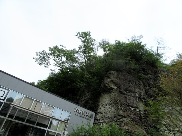 b0192199_15534249.jpg