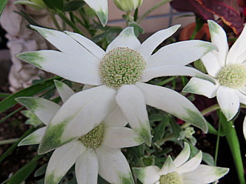 d0046702_20522327.jpg