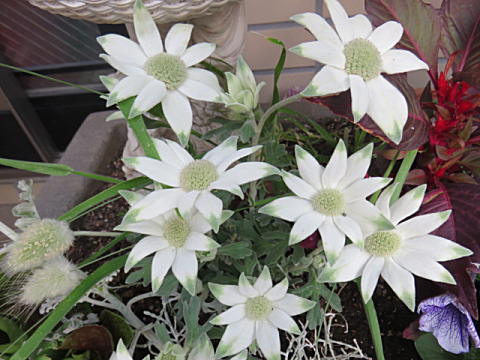 d0046702_20533690.jpg