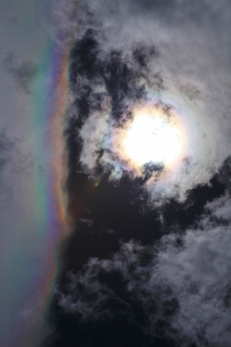 e0242721_8385868.jpg