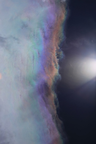 e0242721_8394316.jpg