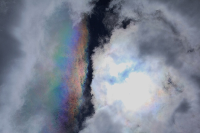 e0242721_8411081.jpg