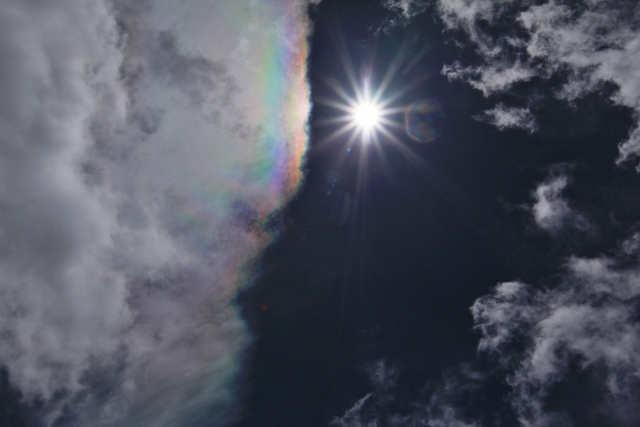 e0242721_854515.jpg