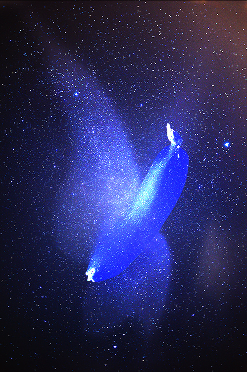 d0265224_17522024.jpg