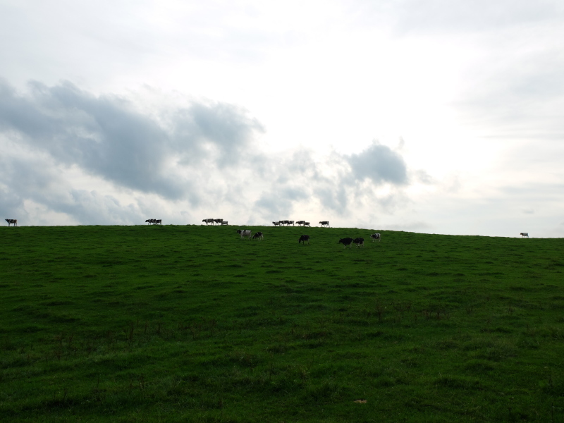 f0362524_18253019.jpg