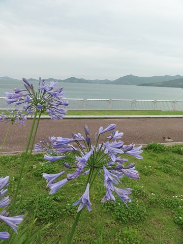 d0029363_17365010.jpg