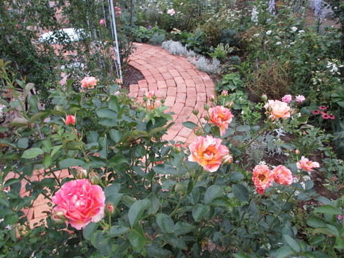 a0243064_8515877.jpg