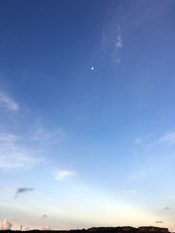 c0048265_1513916.jpg