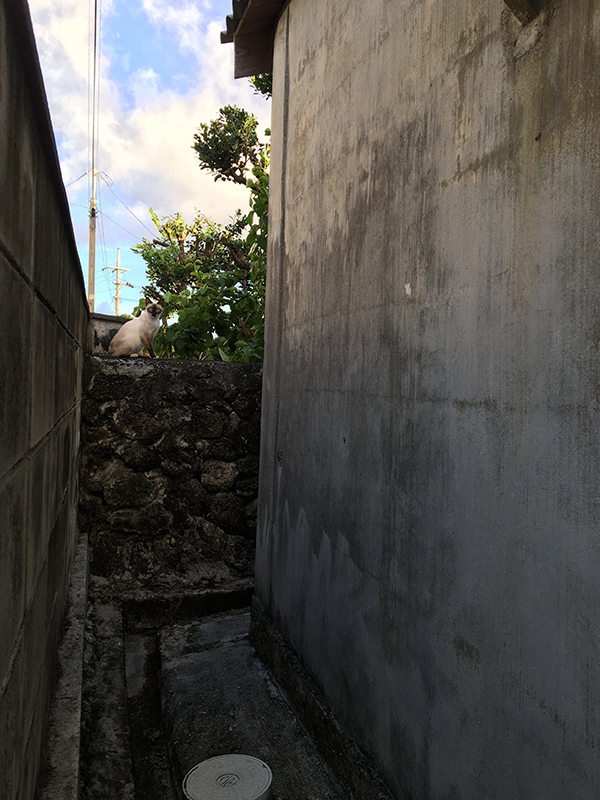 c0048265_16534427.jpg