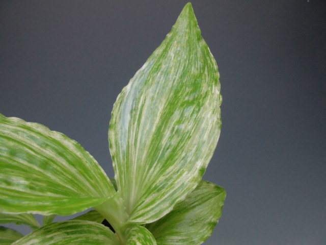 f0318967_22580663.jpg