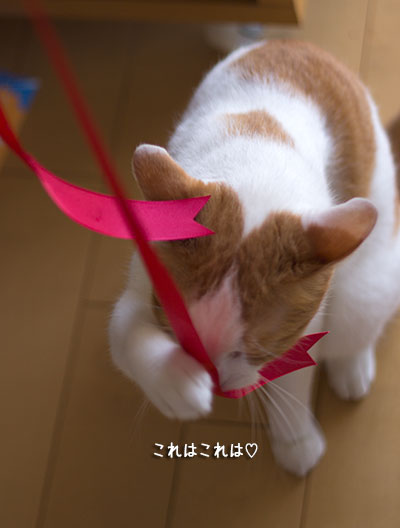 a0119470_21191270.jpg