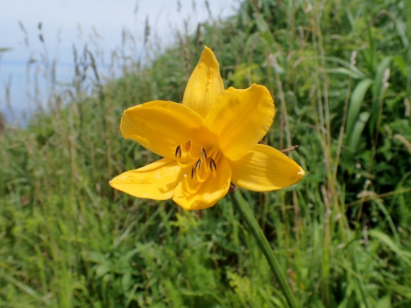 c0183777_15331467.jpg