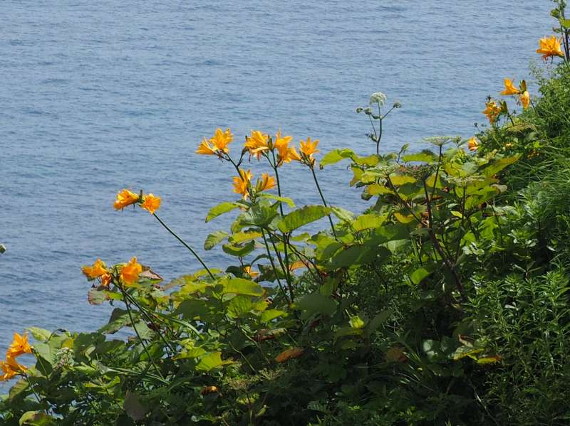c0183777_15333724.jpg