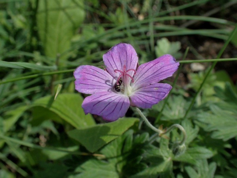 c0183777_15464933.jpg
