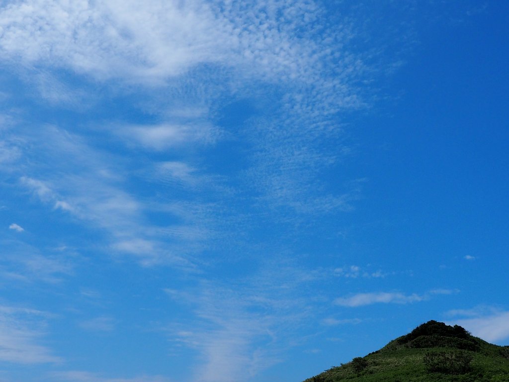 c0183777_16121099.jpg