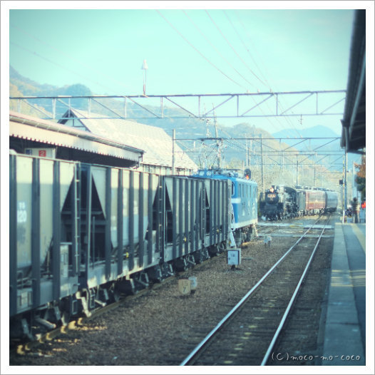 d0274977_14122026.jpg