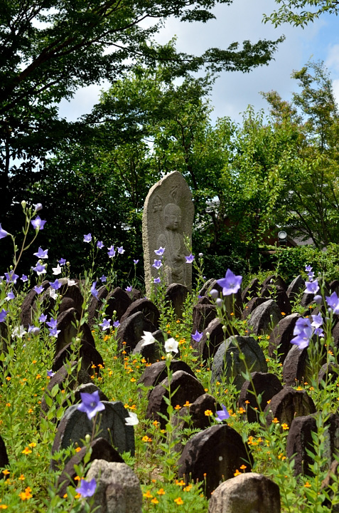 f0108478_12301763.jpg