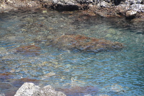 c0204385_12020732.jpg