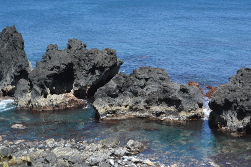 c0204385_12061828.jpg
