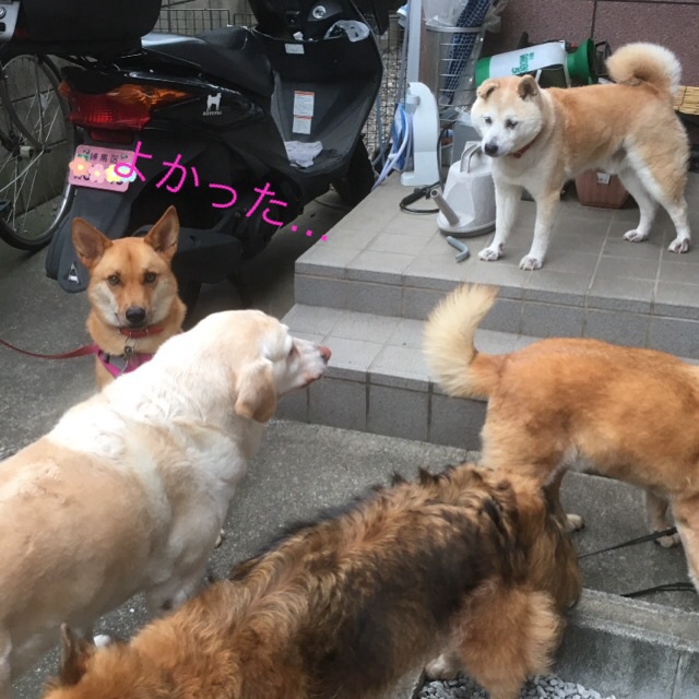 c0123890_19304367.jpg