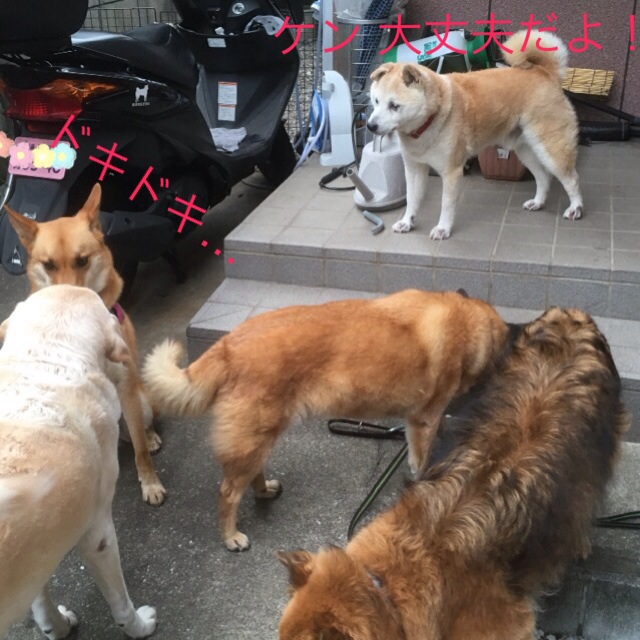 c0123890_19305792.jpg
