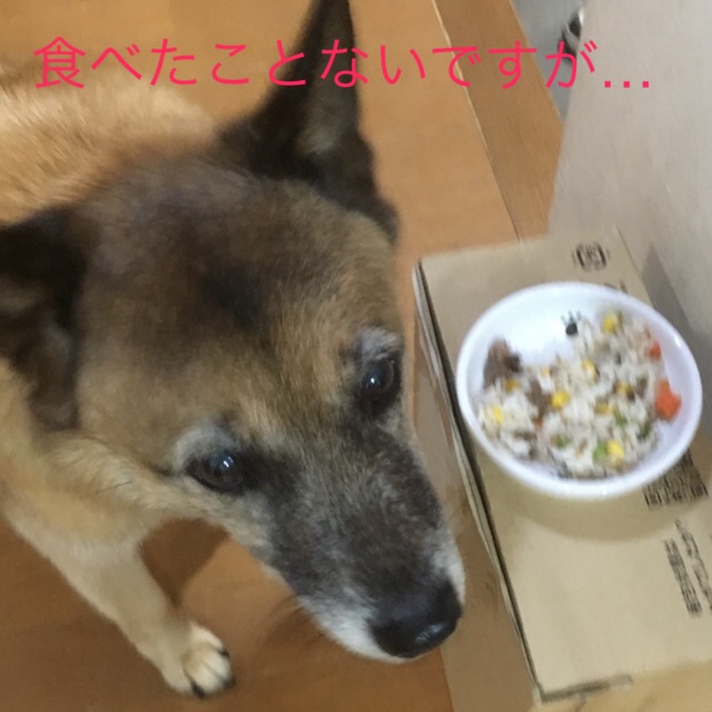 c0123890_2012833.jpg